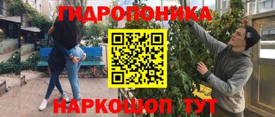 jwh Владимир