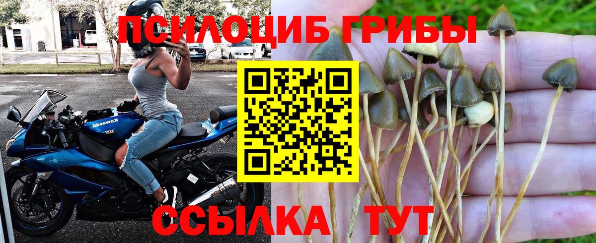 Саянск  Галлюциногенные грибы ЛСД  Вход с VPN 