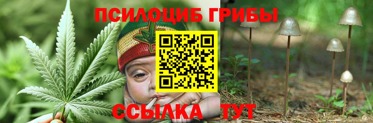 Галлюциногенные грибы MAGIC MUSHROOMS Саянск
