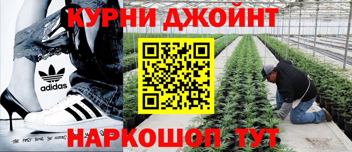 Канабис семена Саянск